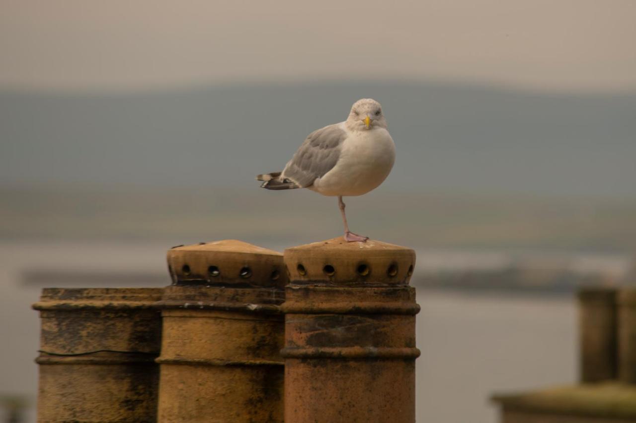 The Stromness Hotel Dış mekan fotoğraf
